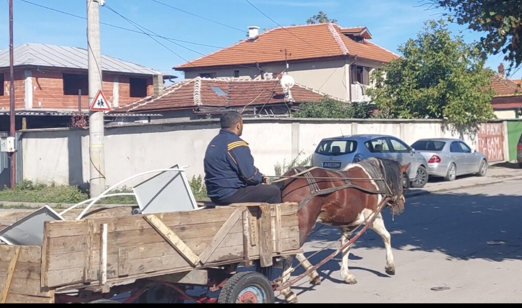 Sofia